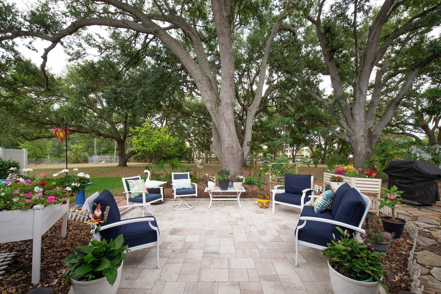 BACKYARD PARADISE!