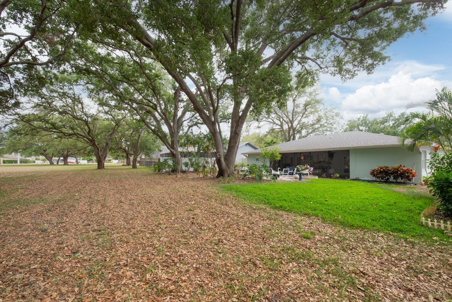 City owns and maintains vacant land behind this home!