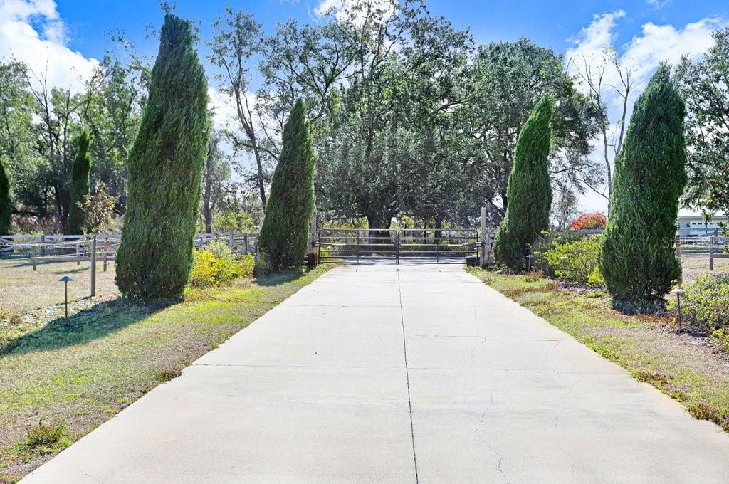 Entrance Gate with remote openers