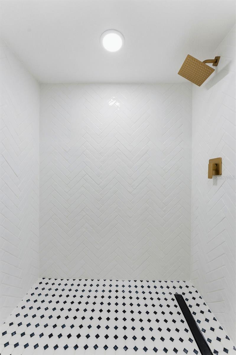 Hall Bath Shower
