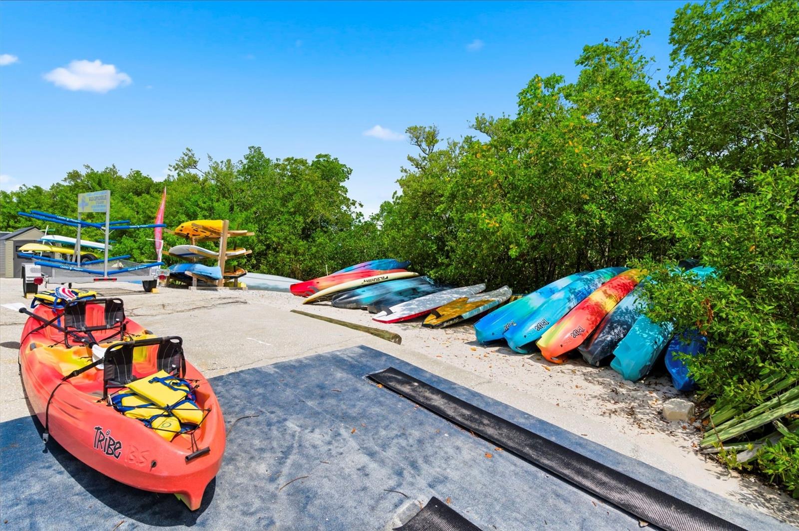 kayak rentals