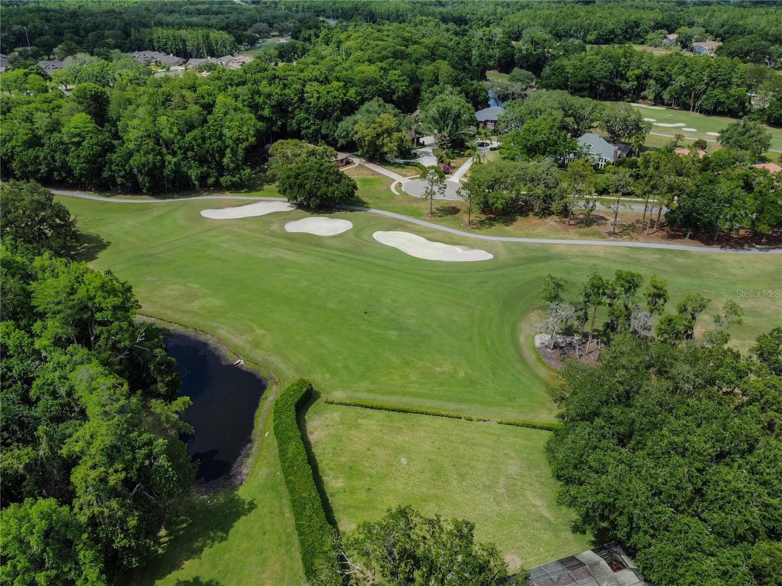 Backyard view from drone