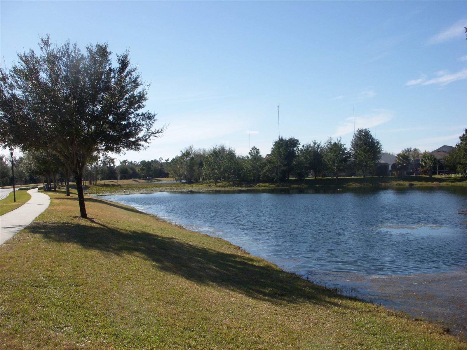 one of many lakes in Fishhawk Ranch