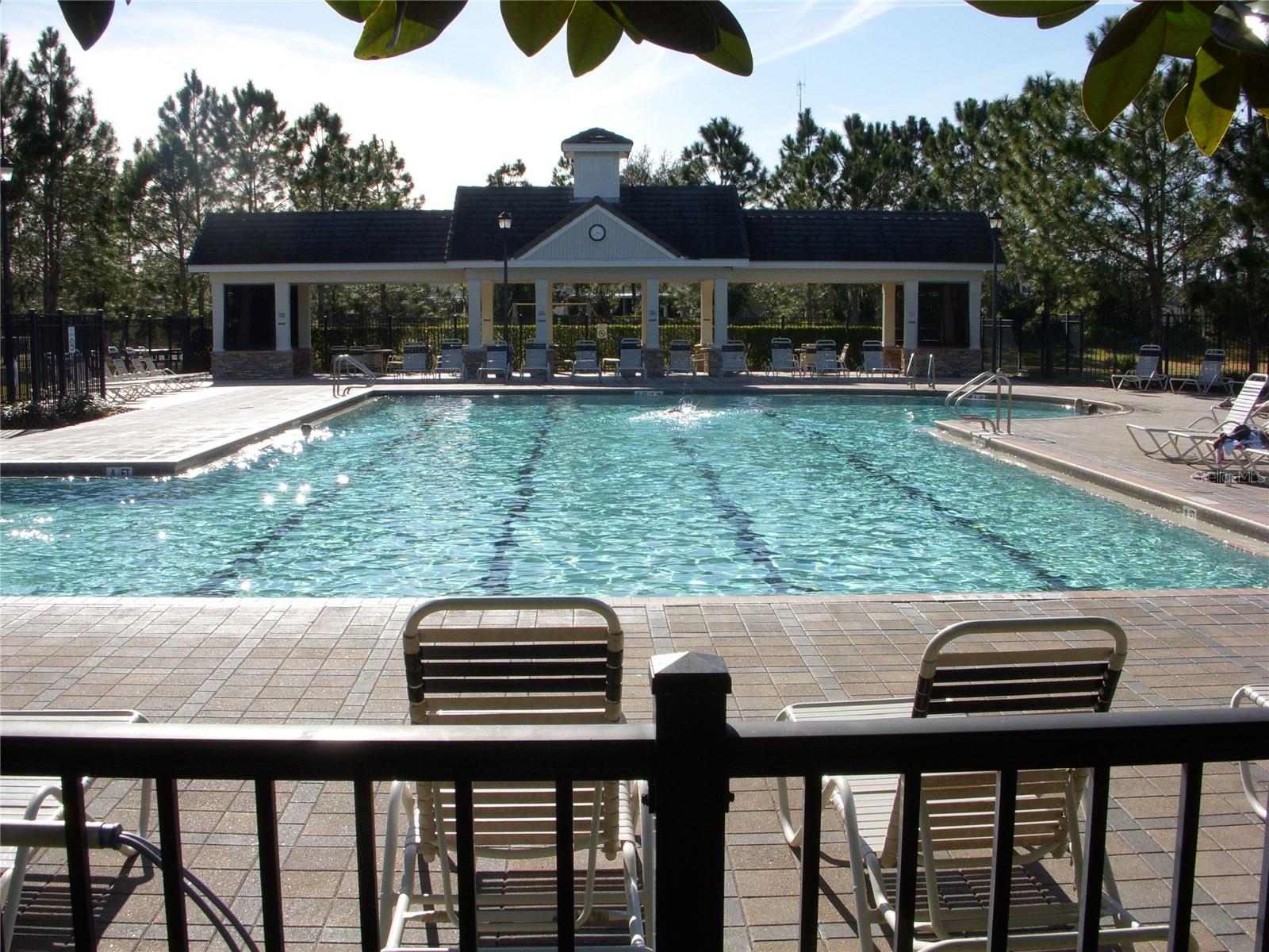 One of several lap pools...this is at the Osprey Club but thier is a bigger one at the Aquatic Center