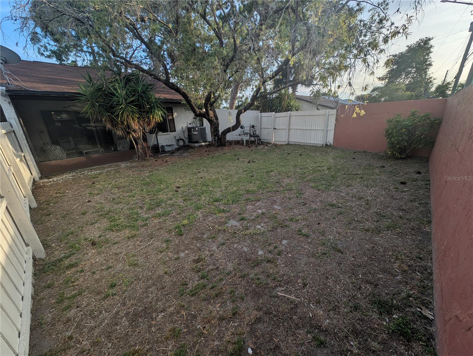 Large Backyard