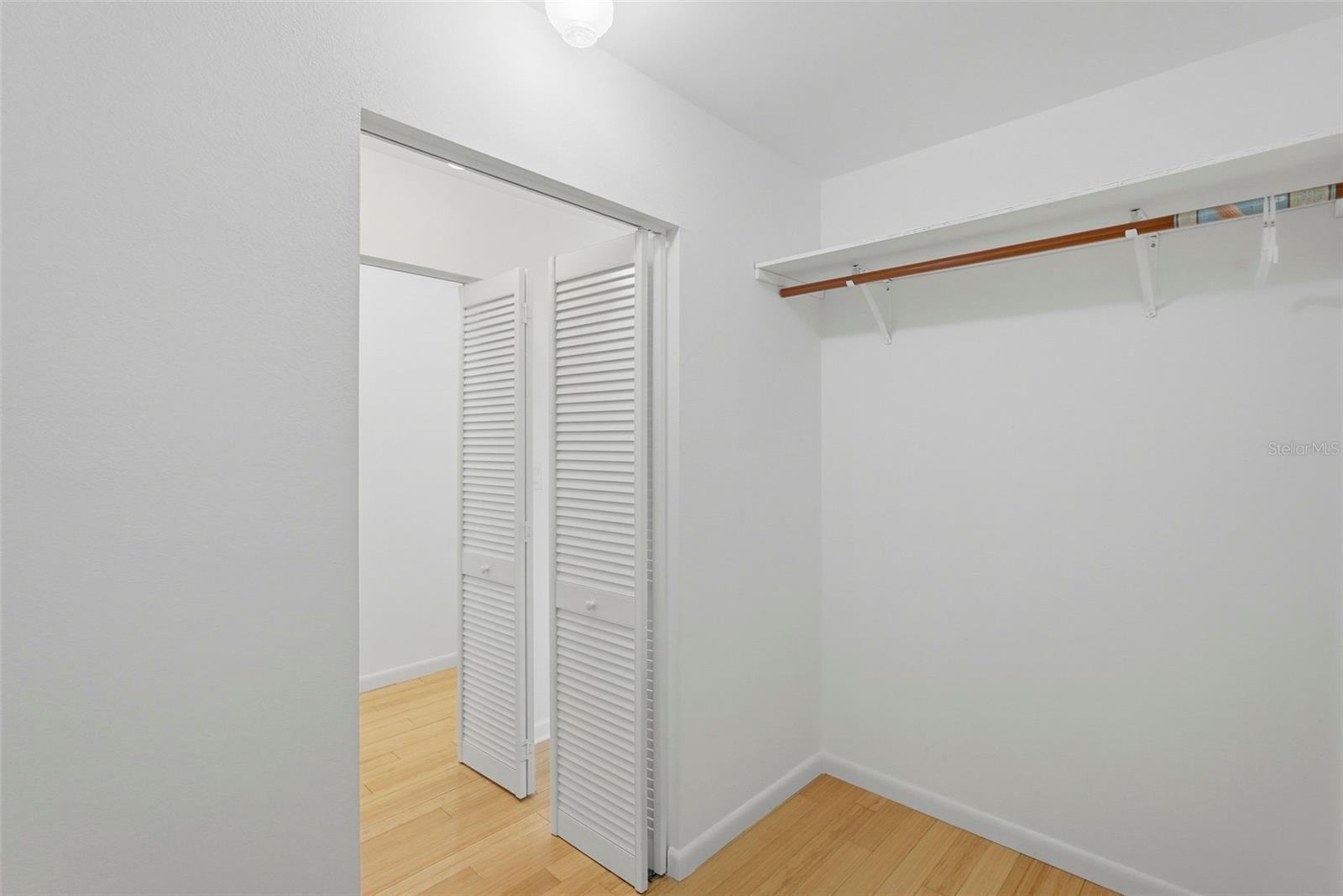 Primary Walk-in Closet #1