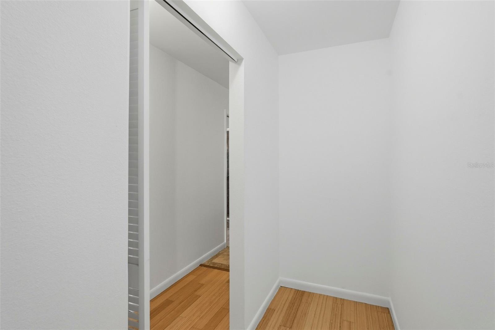 Primary Walk-in Closet #2