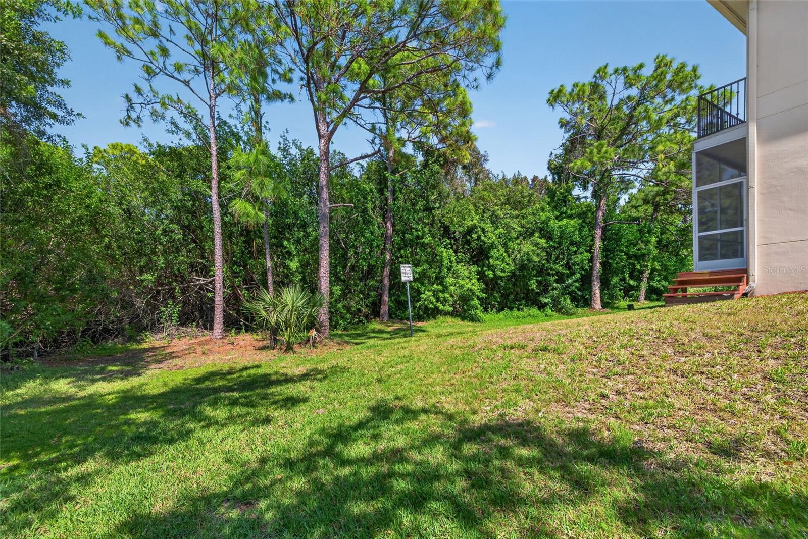 Back yard