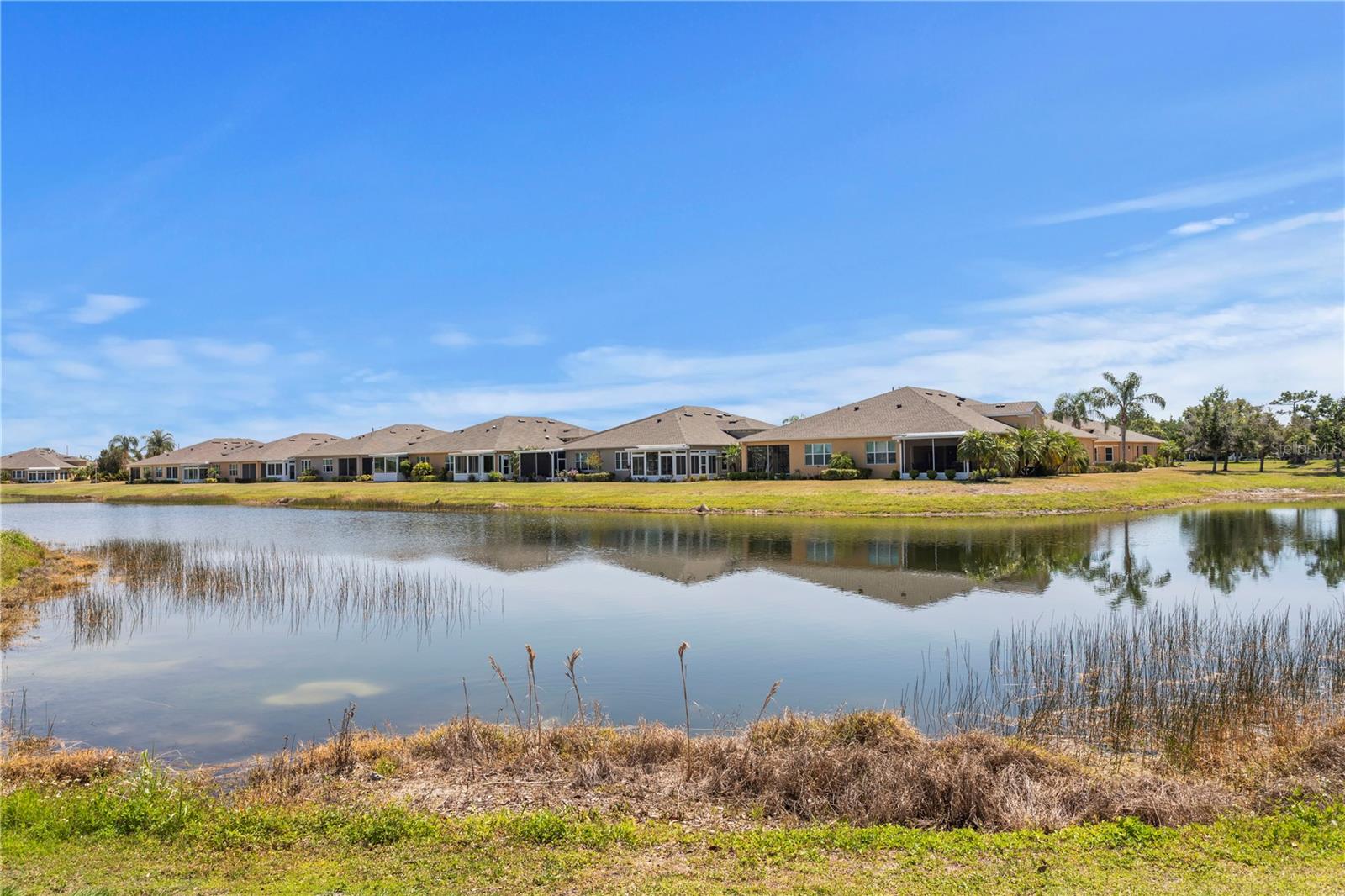 Pond View
