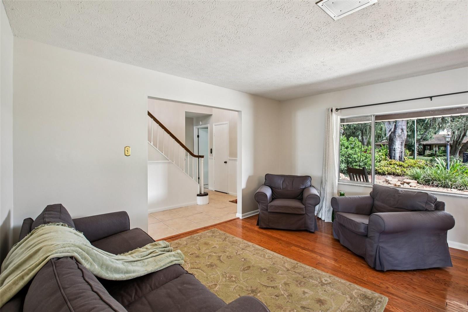 Downstairs Living Room