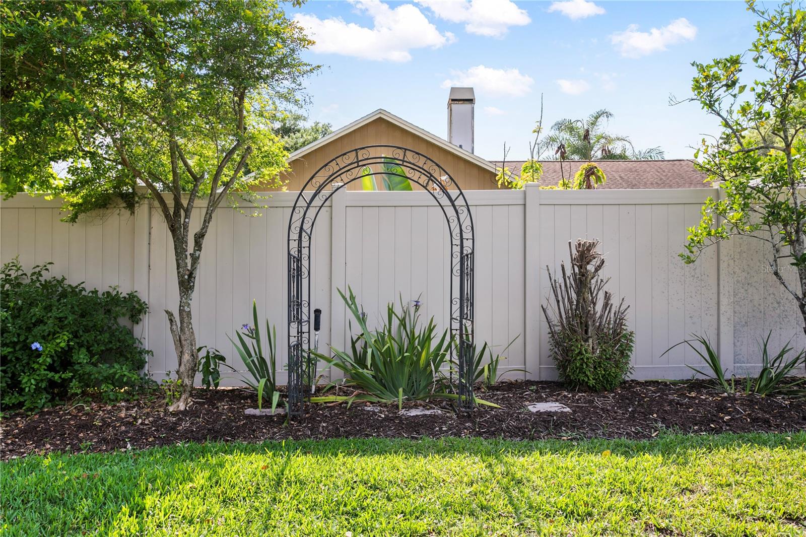 Backyard landscaping
