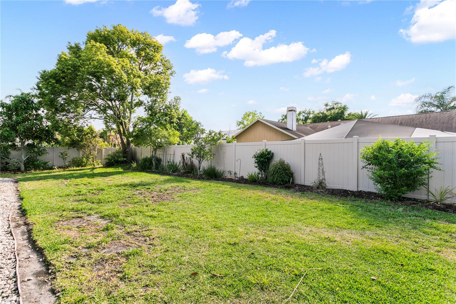 Plenty of room to play in the backyard