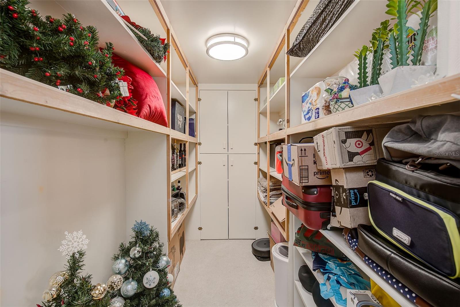 Dining/Living room storage closet