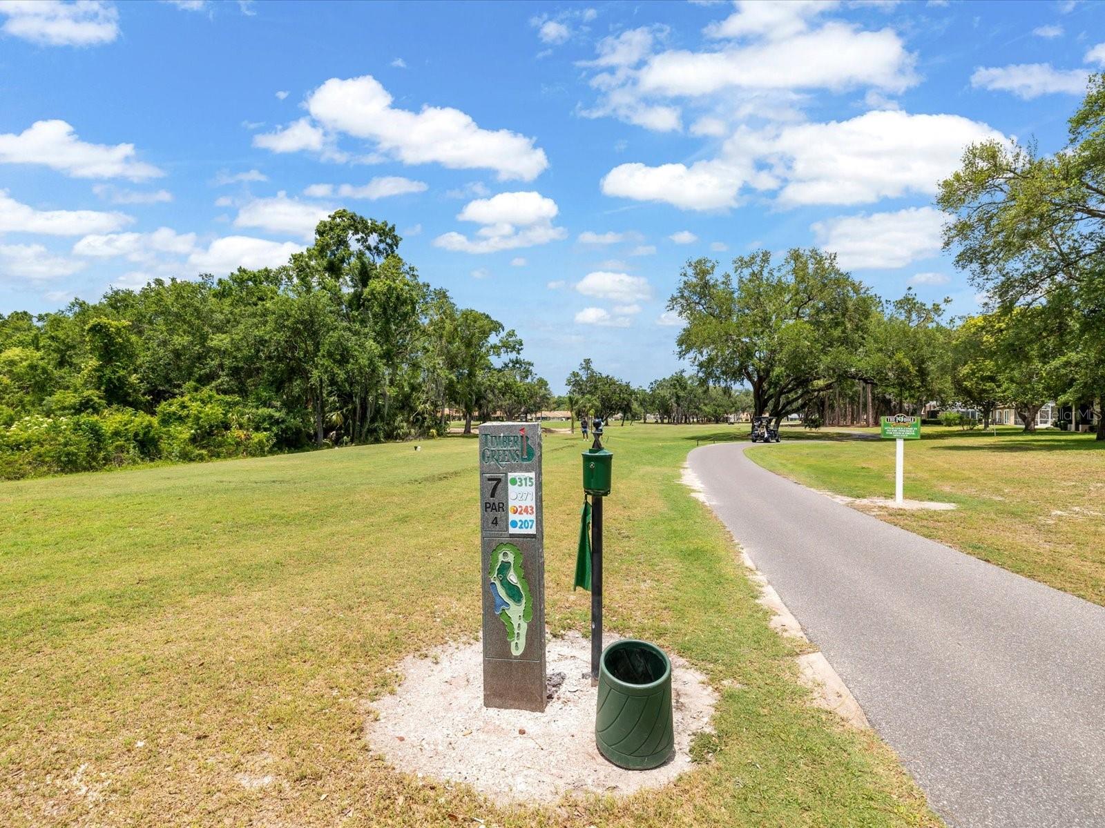 Hole 7
