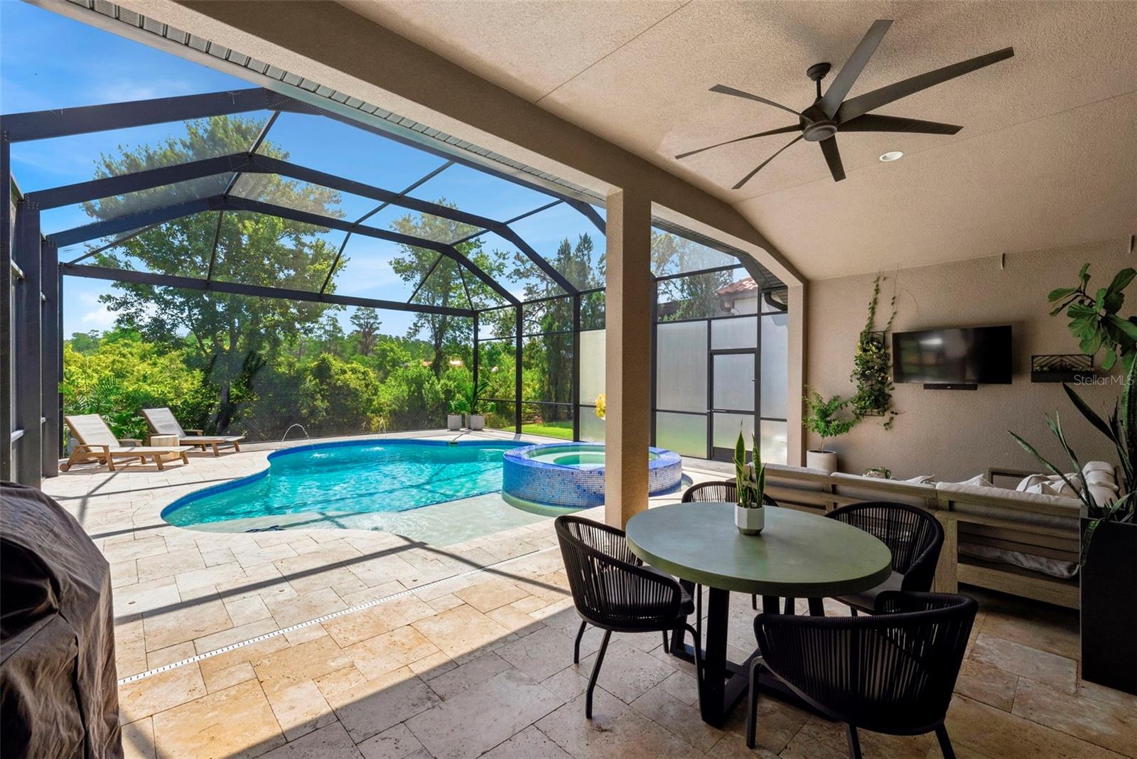 Pool and lanai