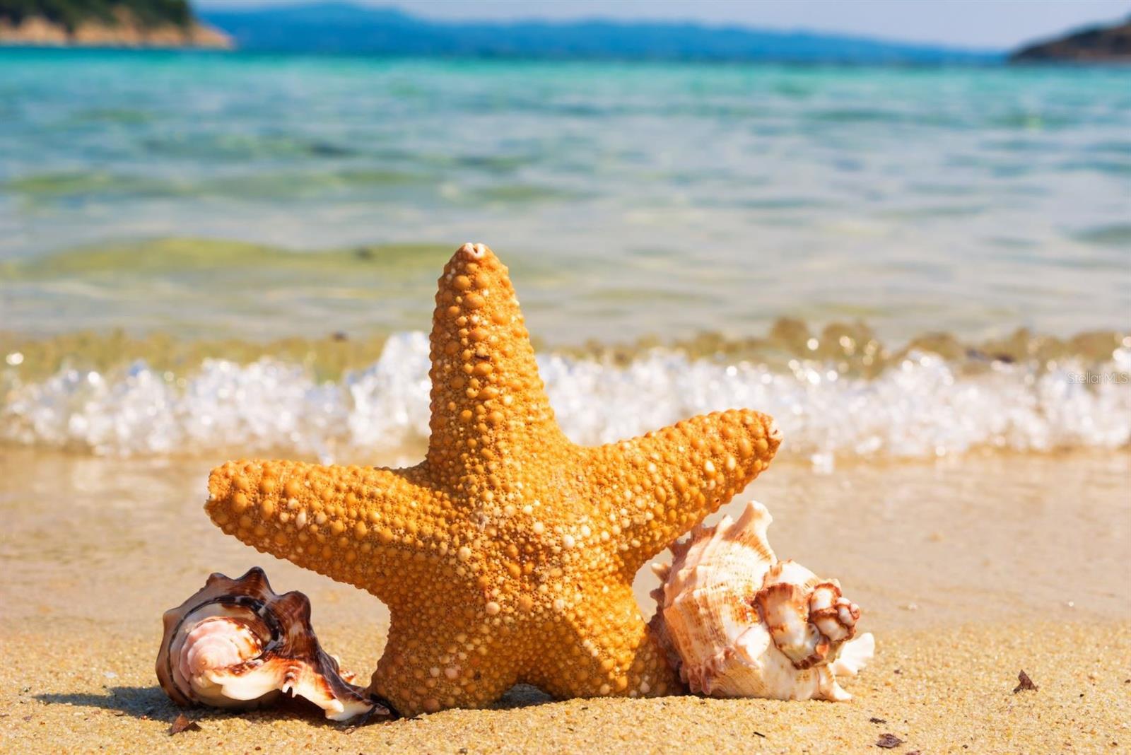 World renown beaches are only 45 minutes away, come and feel the sand between your toes.