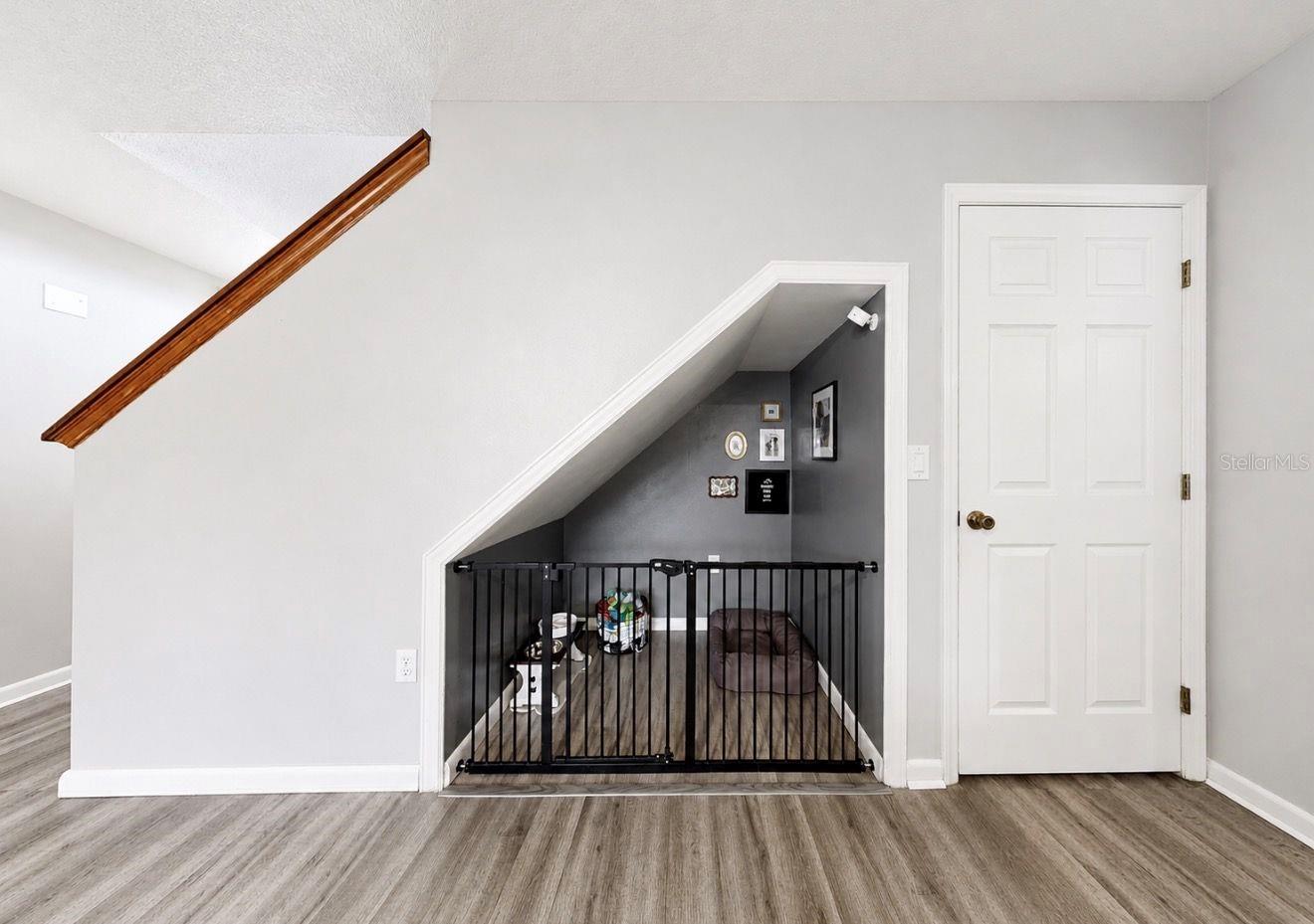 Living Room. Doggy Den. Big storage closet.