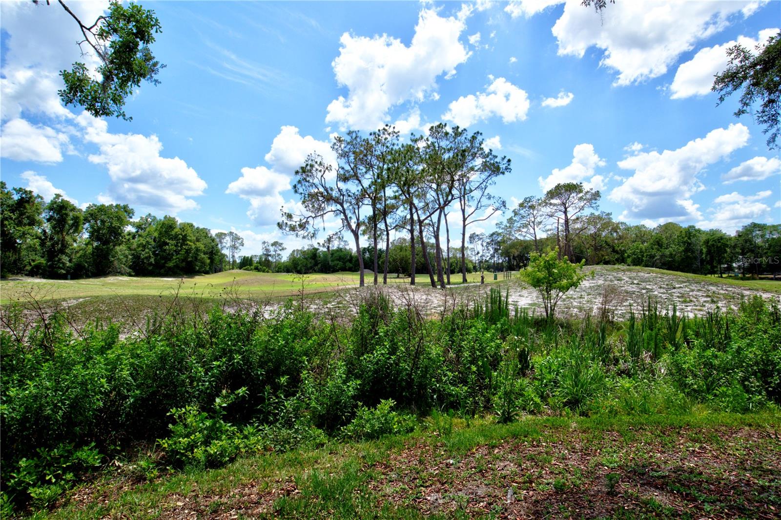 Golf Course View