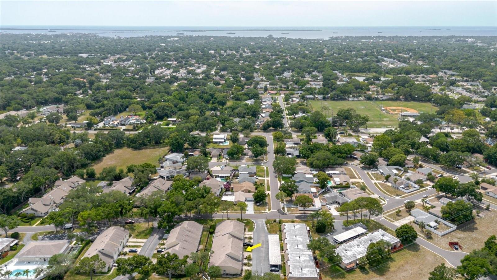 Putnam Park and downtown Palm Harbor