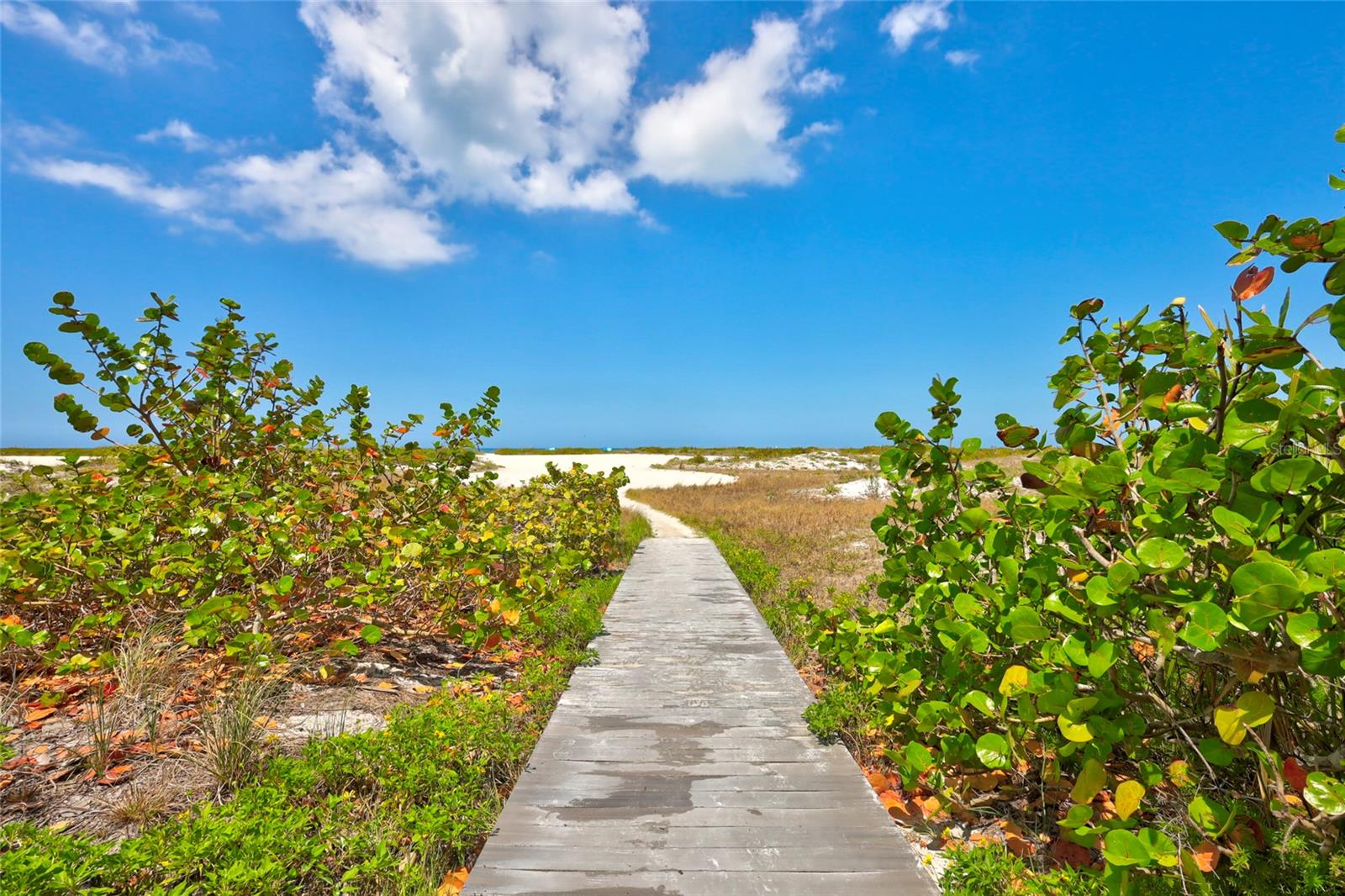 Path directly to the beach