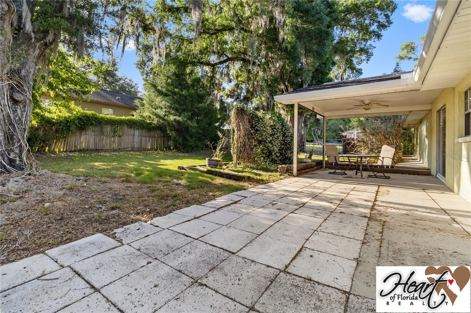 Back yard