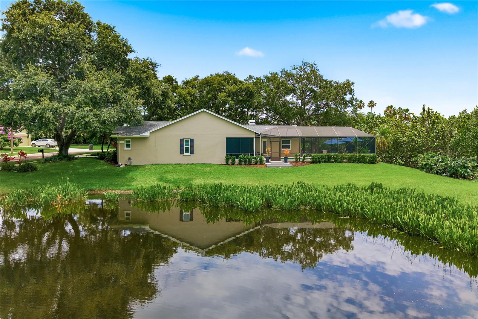 Backyard and Pond