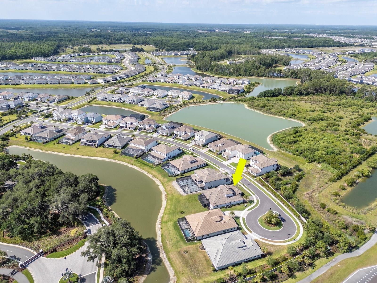Aerial View with water and preserve. Quiet cul de sac. No rear or front neighbors.