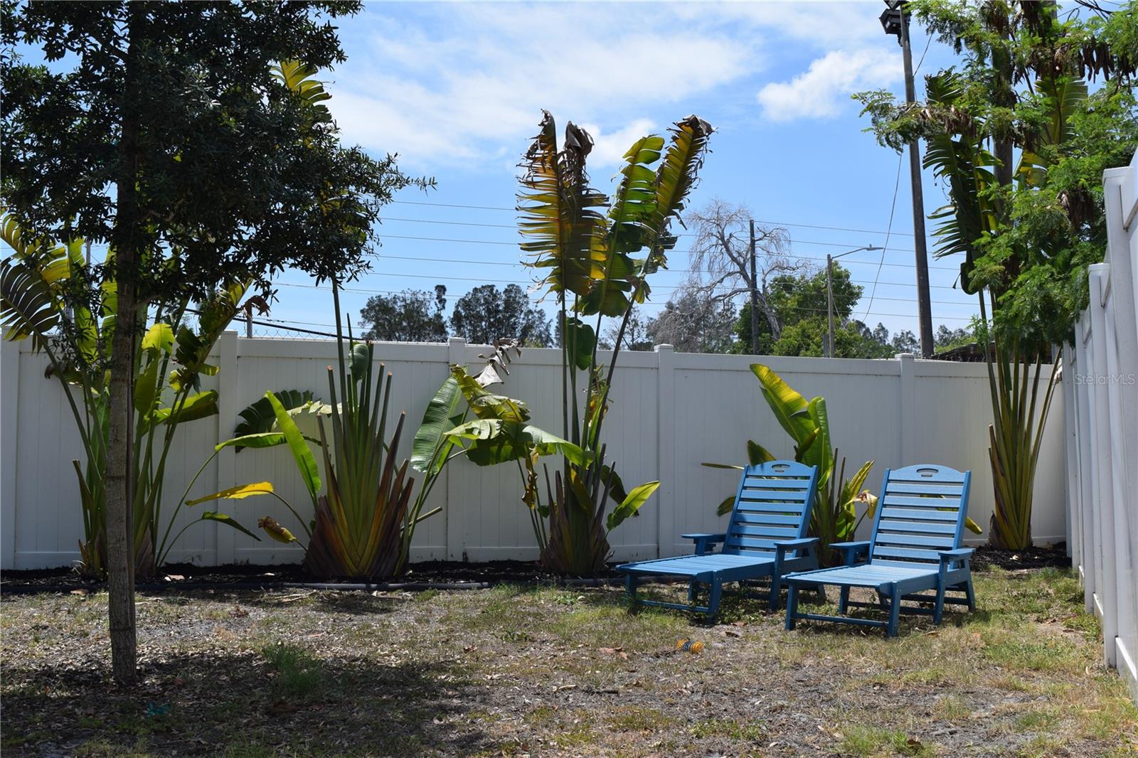 The back yard is very bright and inviting, not too large!
