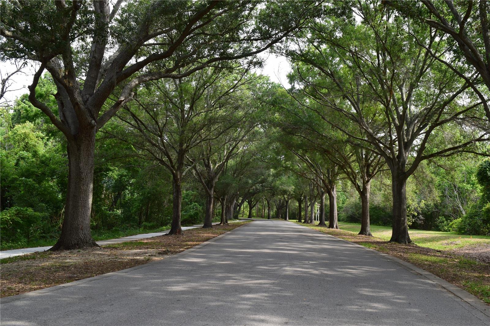 Sawgrass Lake Park, about a 3 minute drive or a short walk
