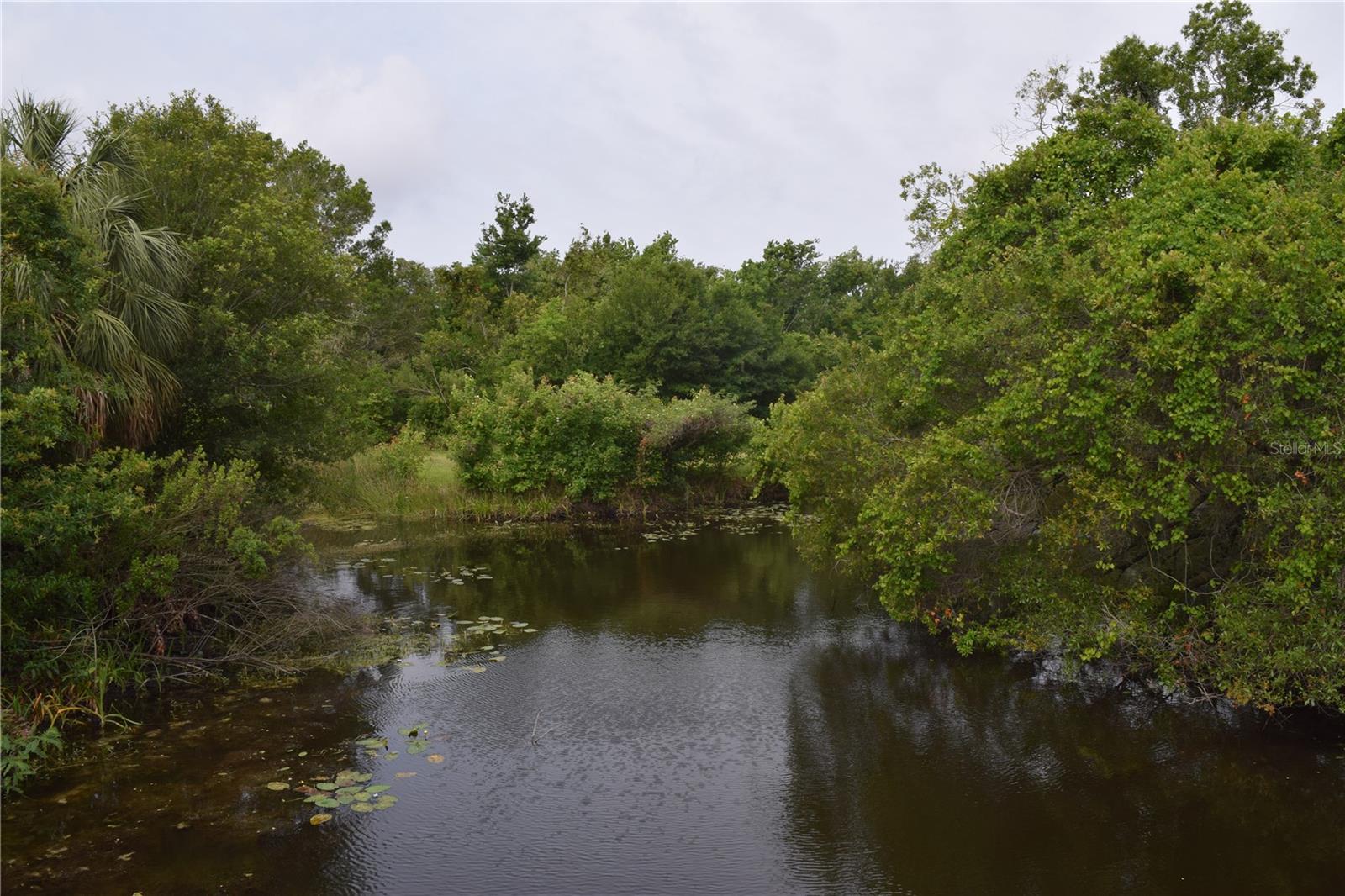 Sawgrass Lake Park
