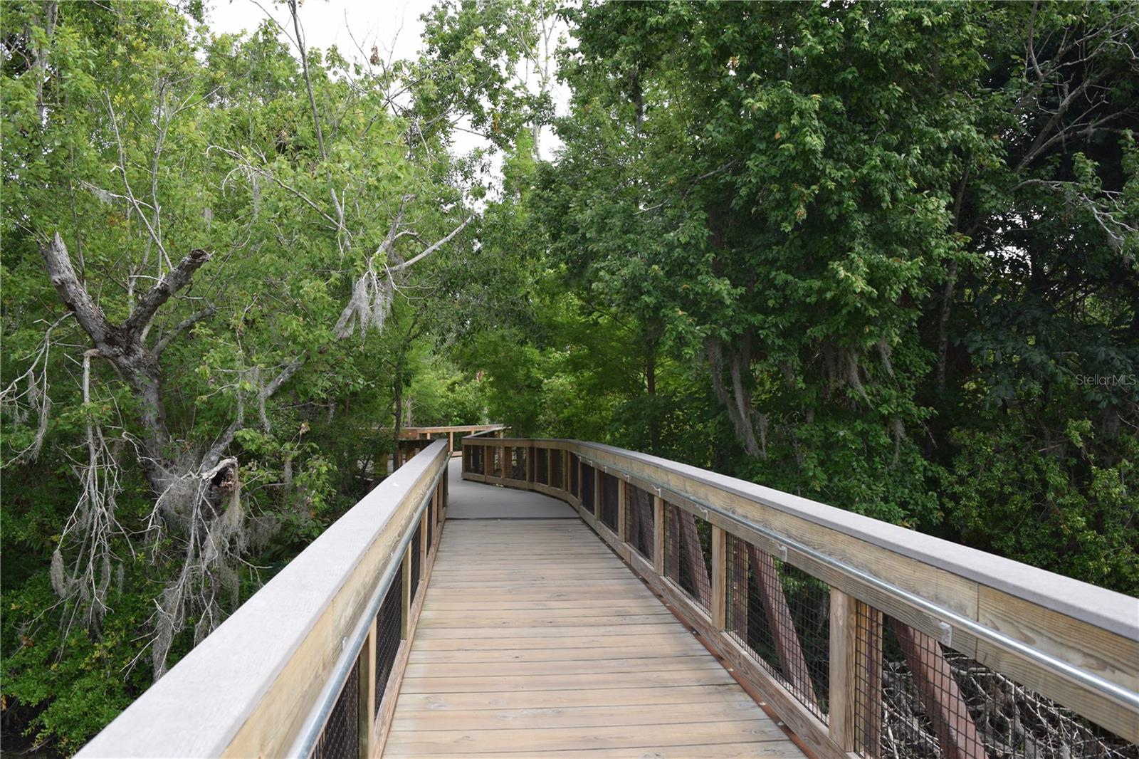 Sawgrass Lake Park boardwalk