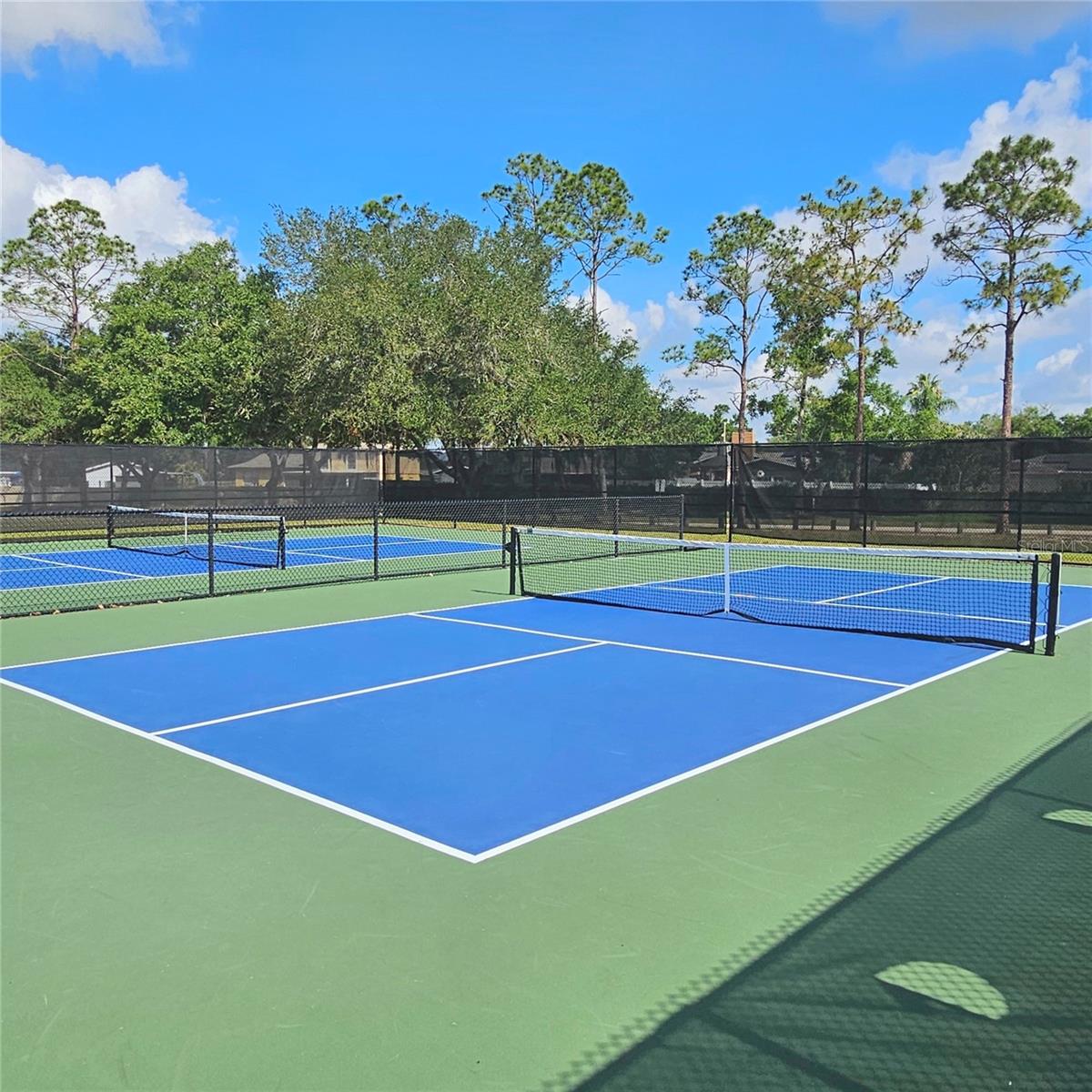Pickleball courts!