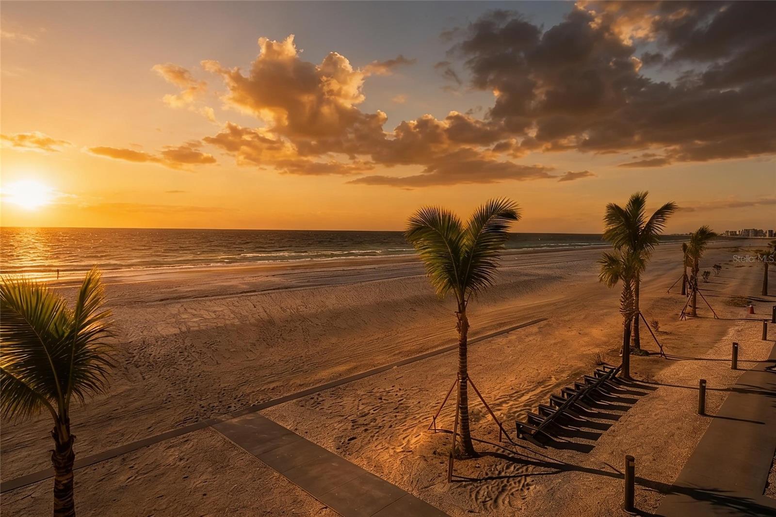 Tangerine sunset's Daily!