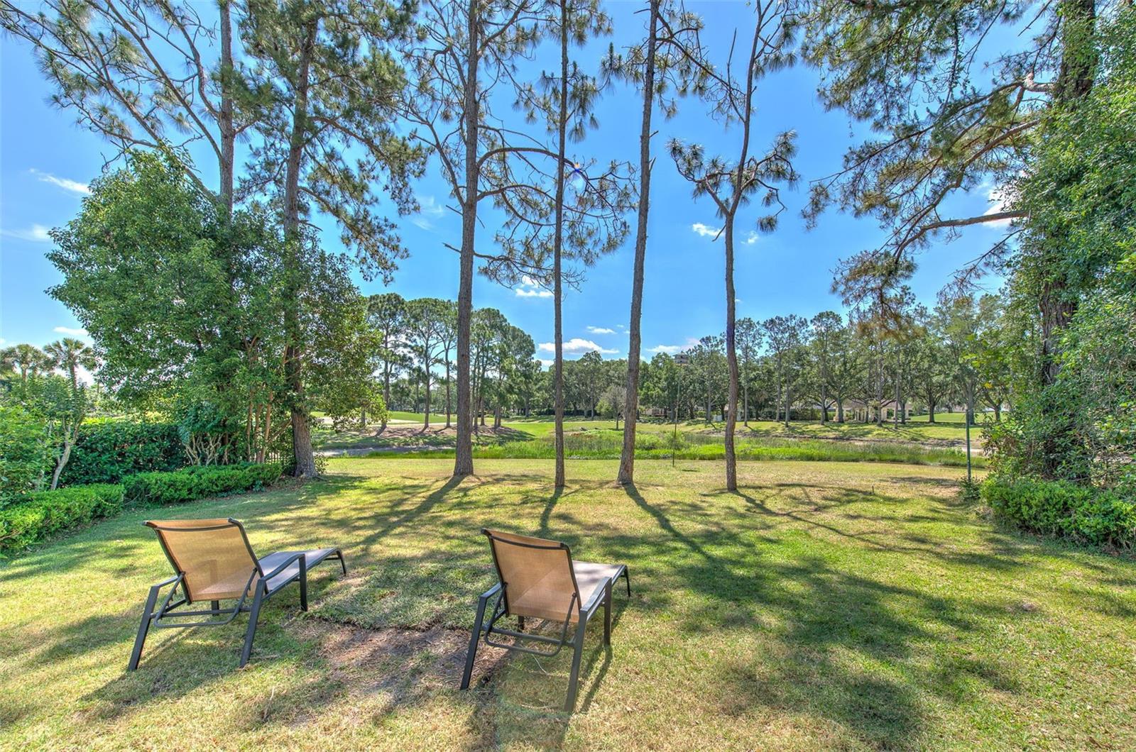 Amazingly Large Private Lot!