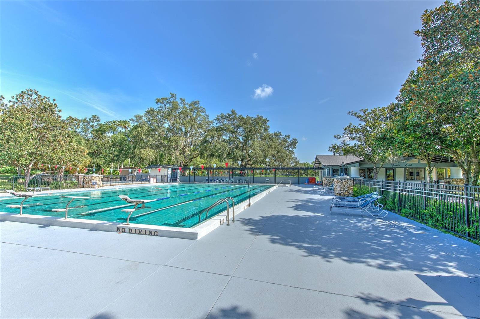 Olympic Size Pool!