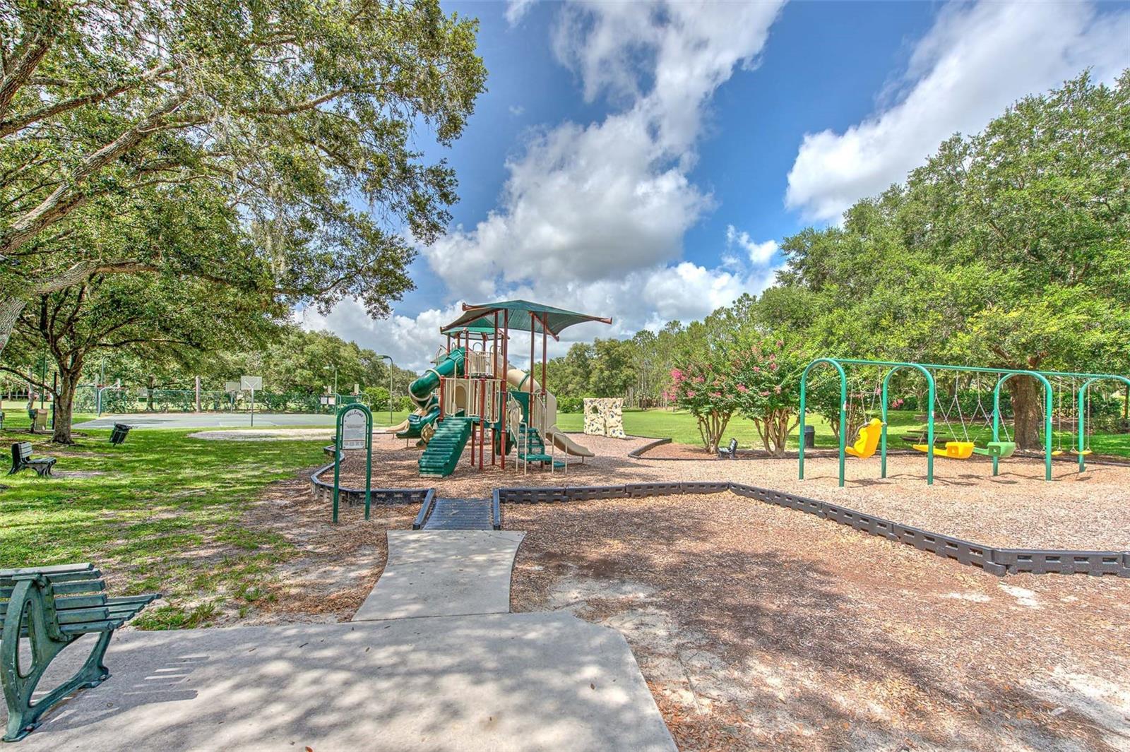 Play in the Park!
