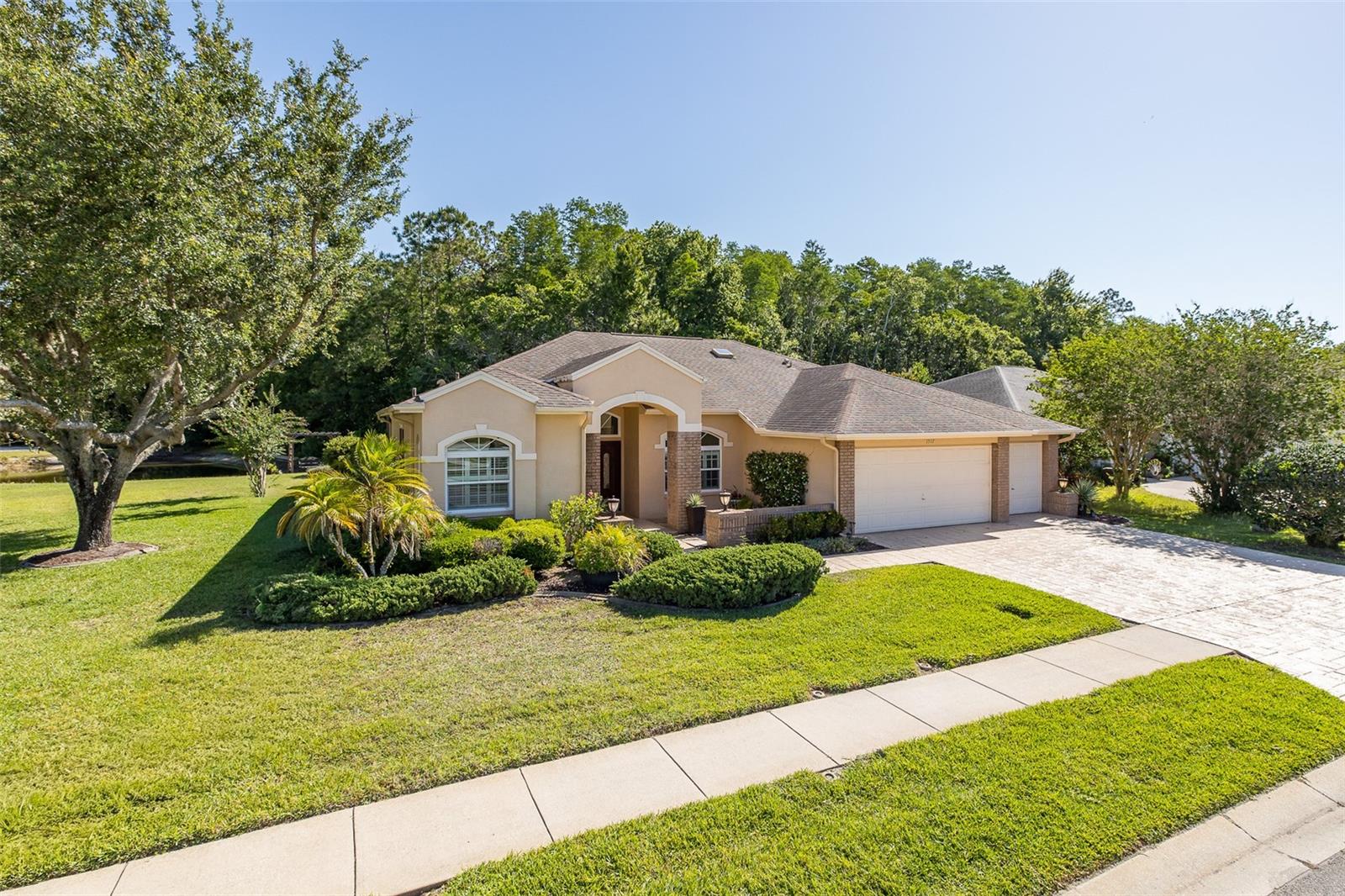 EXPRESSIVE CORNER LOT