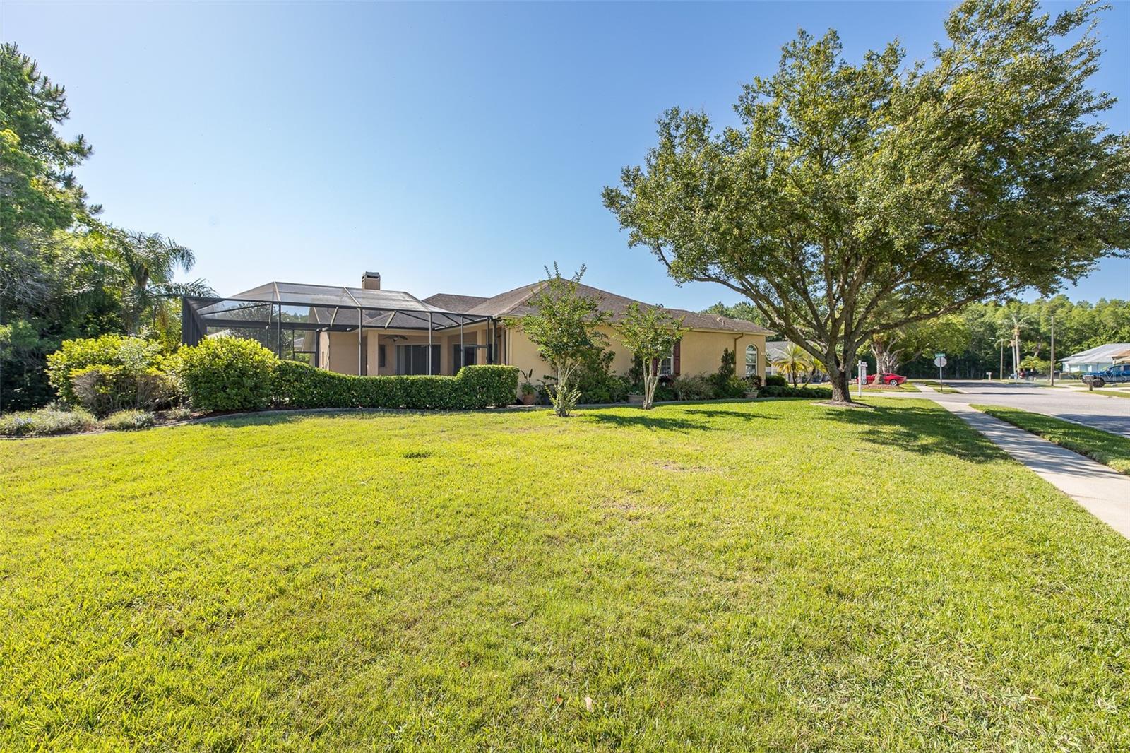 HUGE YARD