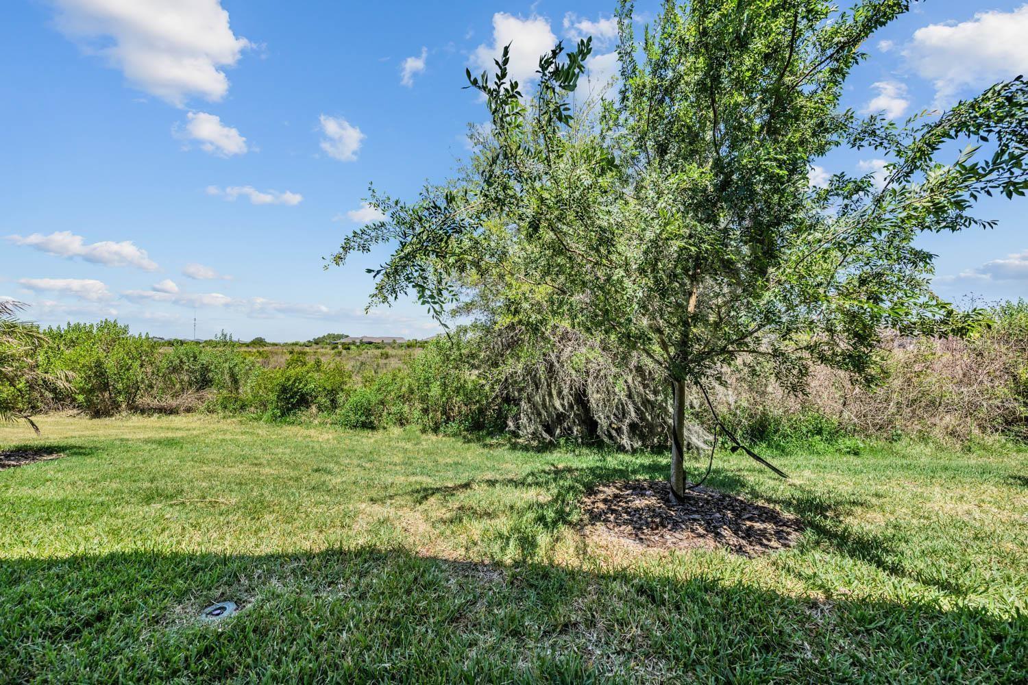 conservation view