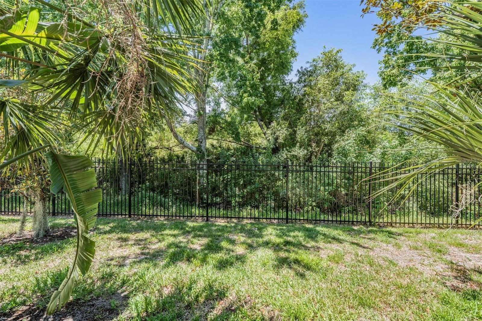 Peaceful view of your backyard