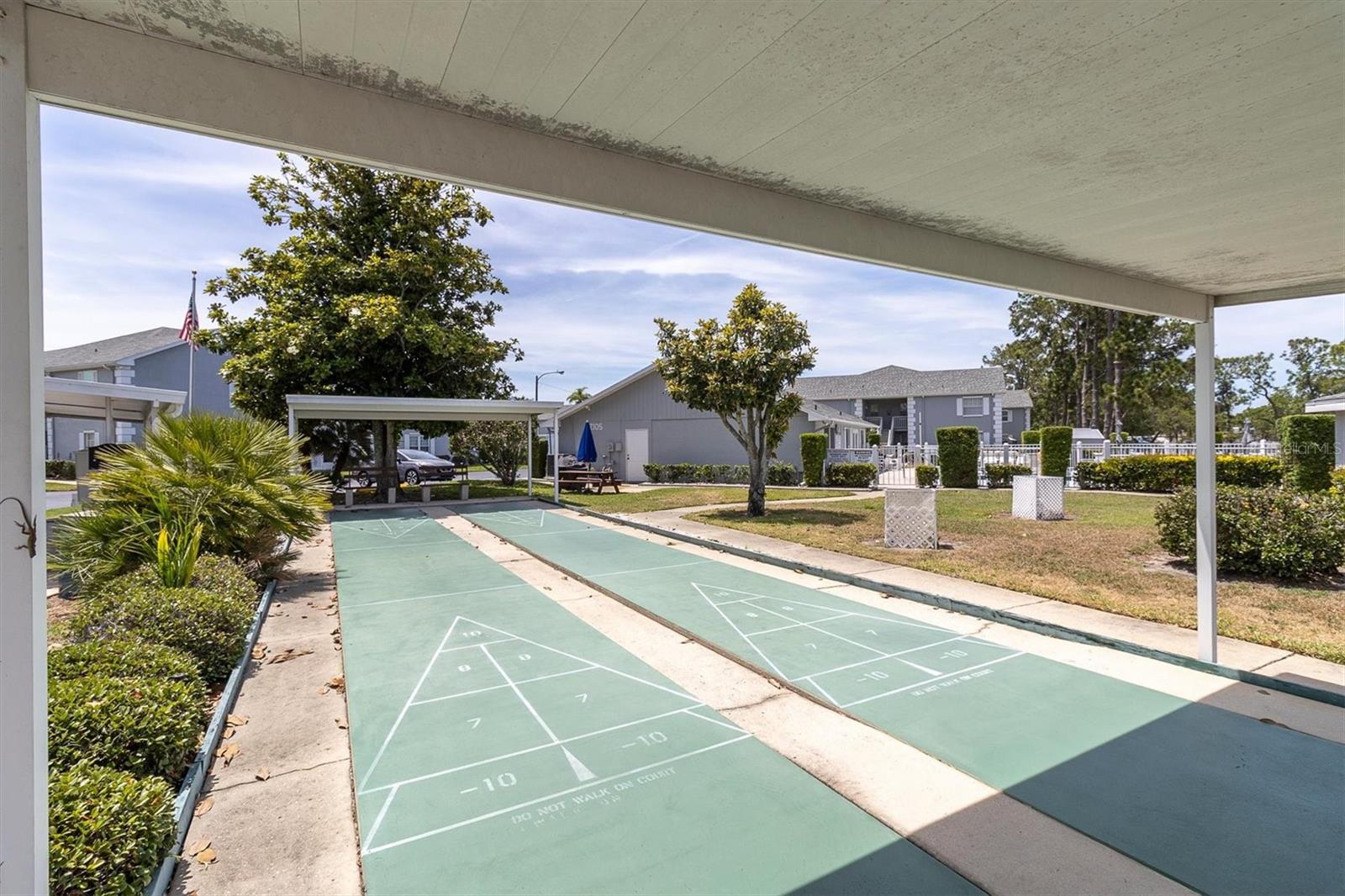 Shuffleboard