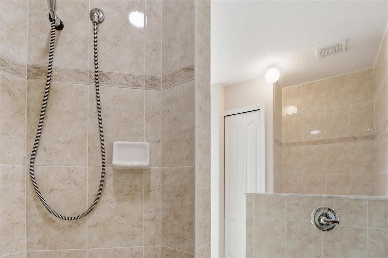 Master walk in shower