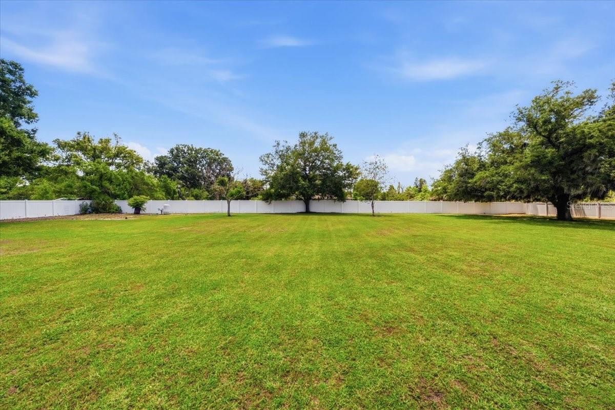 Expansive backyard with endless possibilities