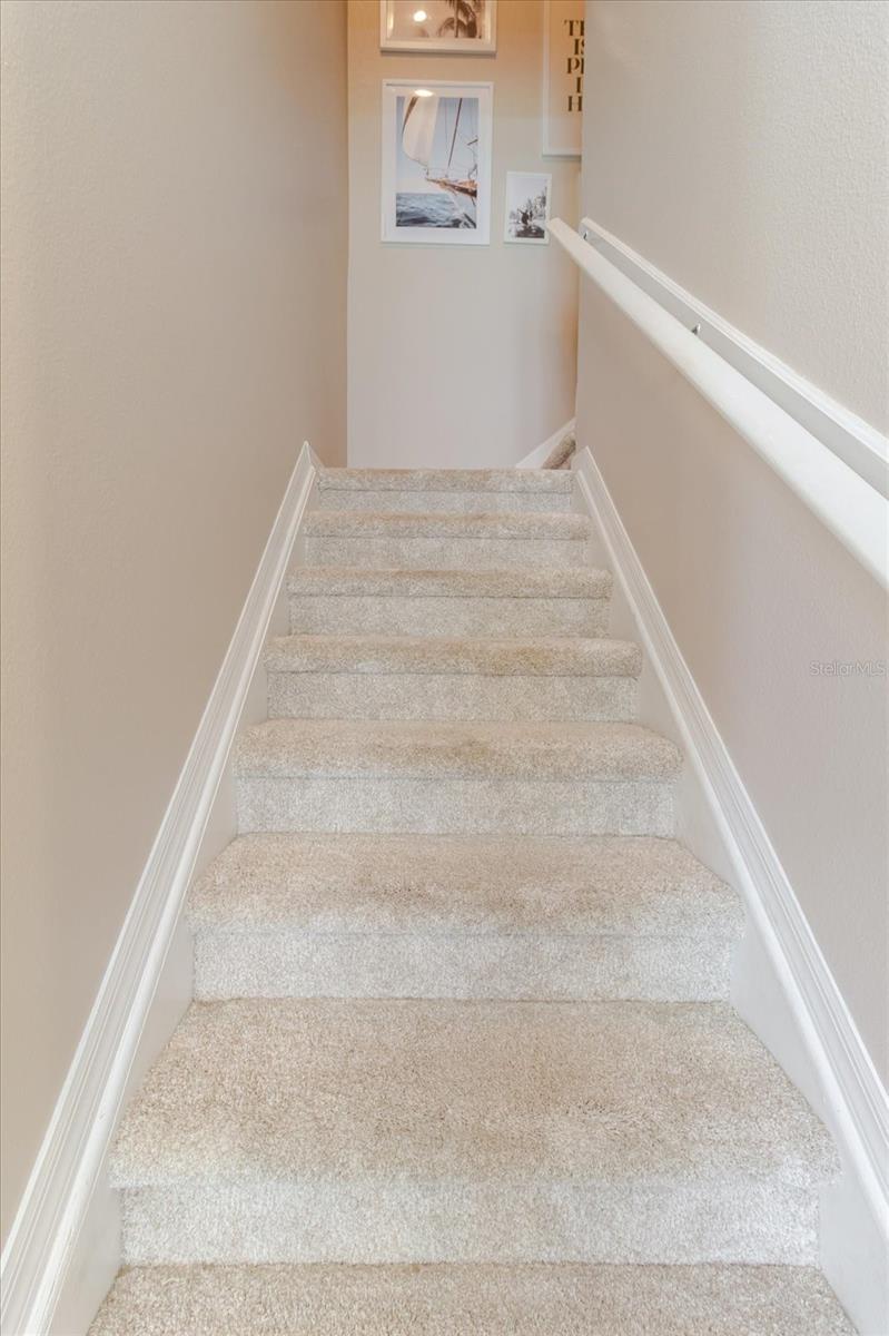 New 2025 Plush Carpet With Premium Tempur-Pedic Carpet Padding