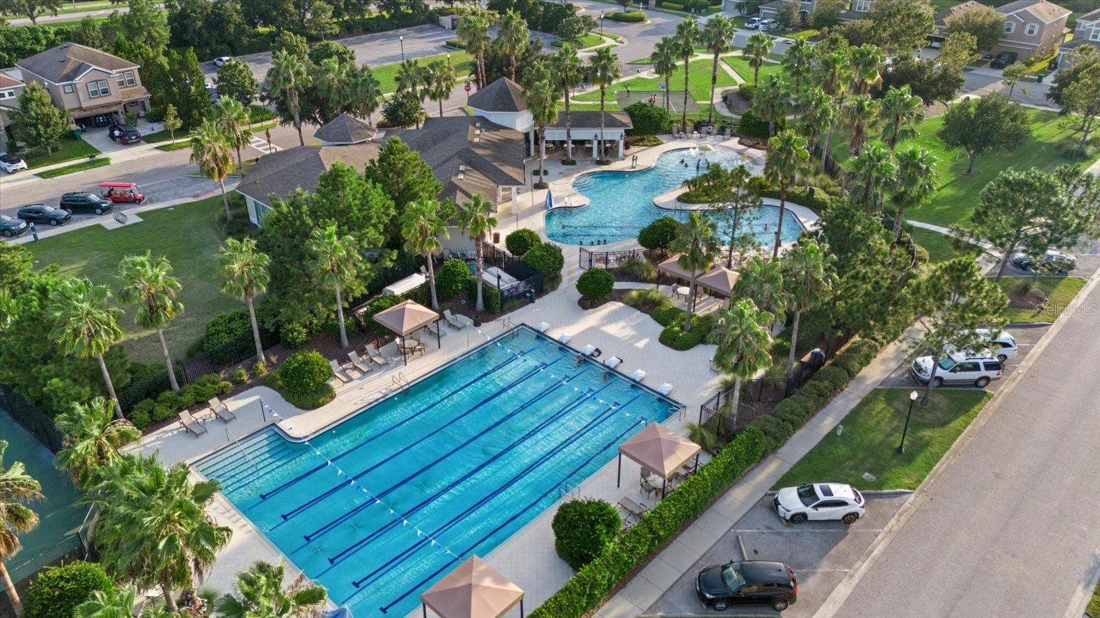 Lap Pool