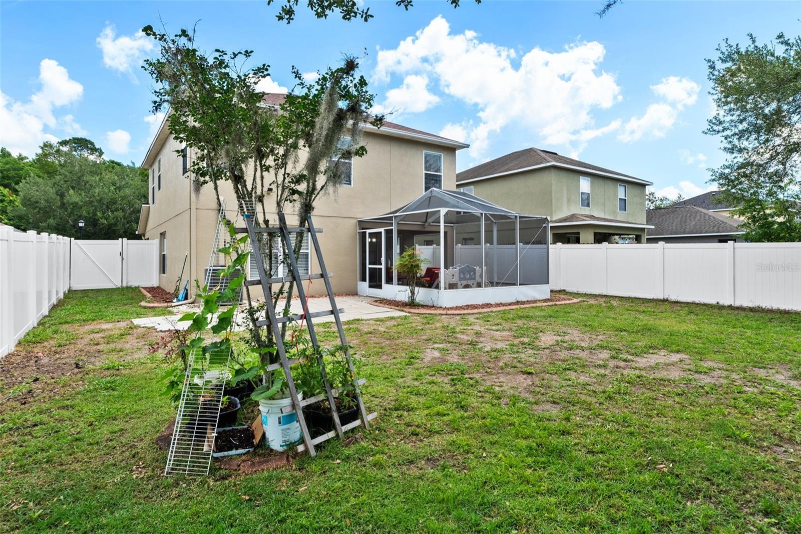 Back Yard