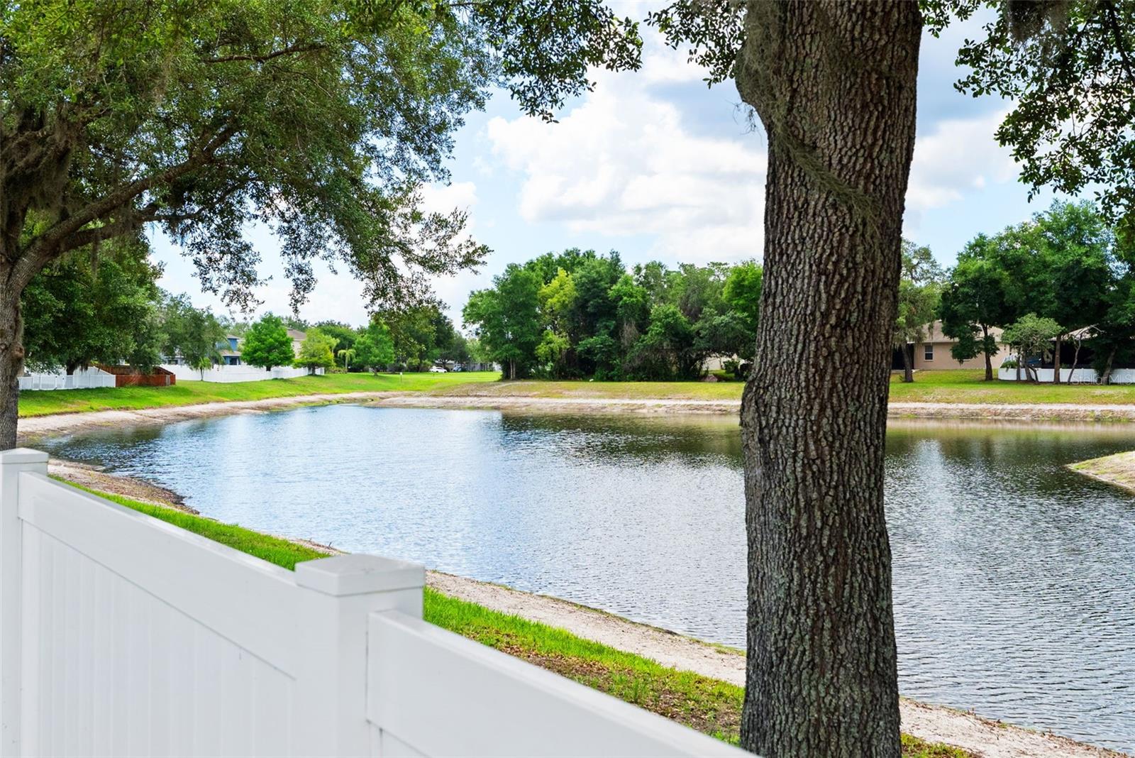 Pond/Preservation behind house