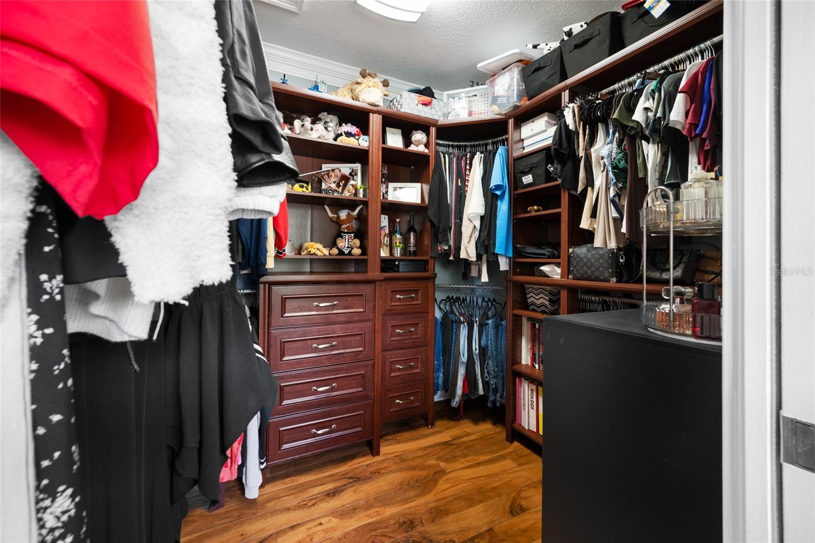 Bedroom 2 Walk-In Closet
