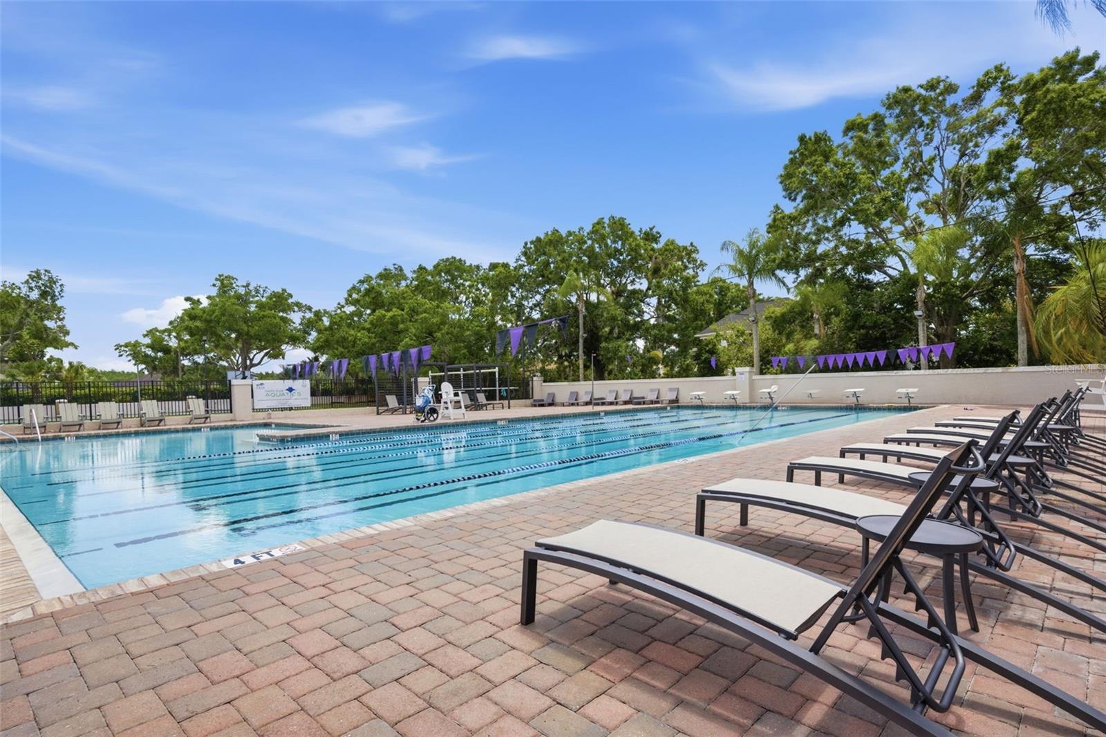 Cheval Pool