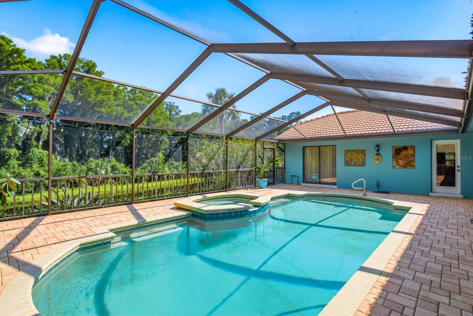 Pool, Spa and Backyard